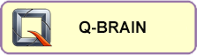 Q-brain